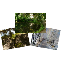 Priroda