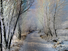Chodník